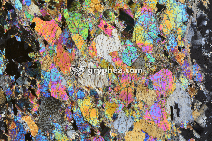 Péridotite LPA x3,5 - gryphea.com